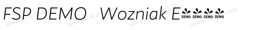 FSP DEMO   Wozniak E字体转换